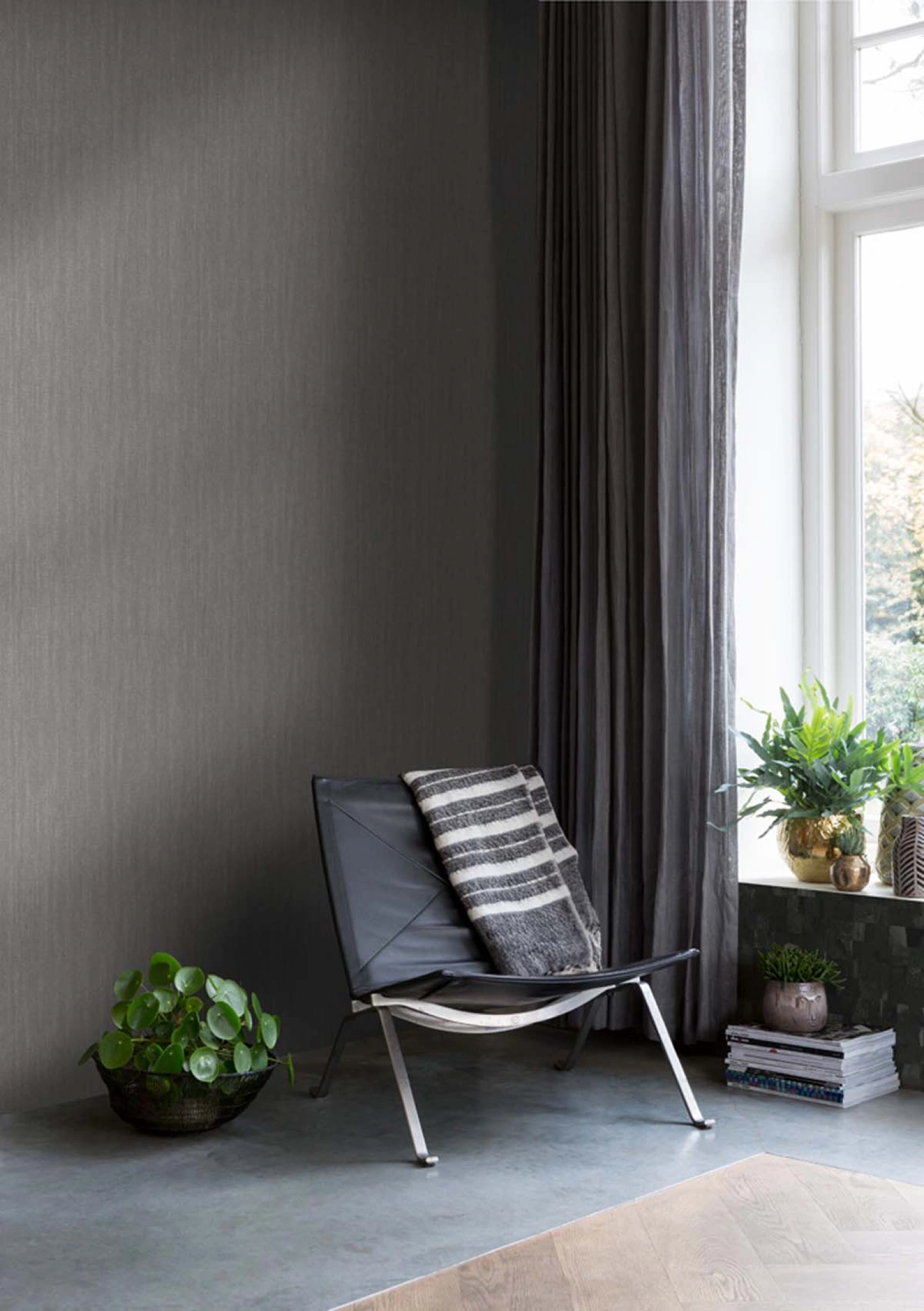 Emil & Hugo Plains Shine